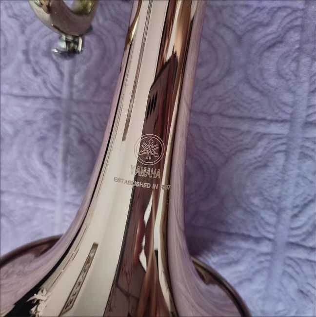 原价4500的雅马哈小号乐器 原价4500的雅马哈小号乐器